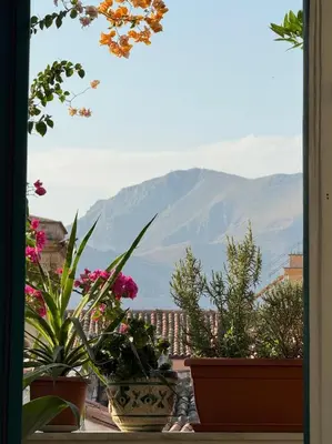 a view of a mountain from a window with potted plants at Locanda Lupo in Palermo