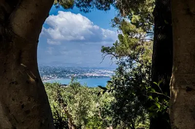 a view of a city from between two trees at Casa Laghetto in the countryside with a shared pool in Terrasini