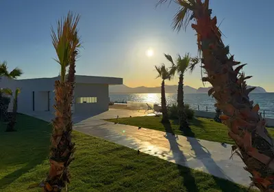 a house with palm trees in front of the ocean at Solemar Sicilia - Villa Gloria in Ficarazzi