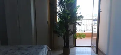 a palm tree in a room with a window at port side Palermo in Palermo