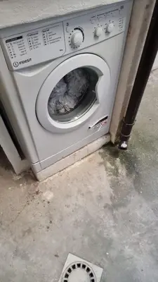 a washing machine with a turkey inside of it at Goodnight Palermo in Palermo