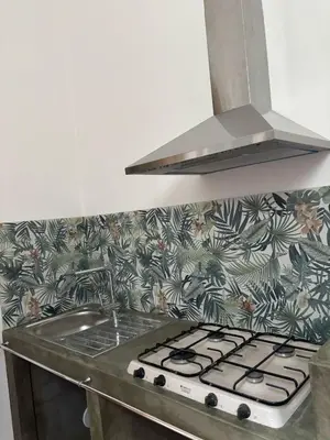 a kitchen with a stove top with a tropical wallpaper at Dimora Filangeri in Santa Flavia