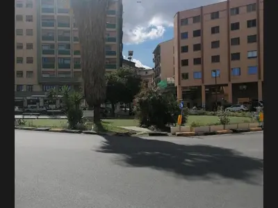 a shadow of a tree on a street with buildings at A casa da Carlo al Borgo 2 in Palermo
