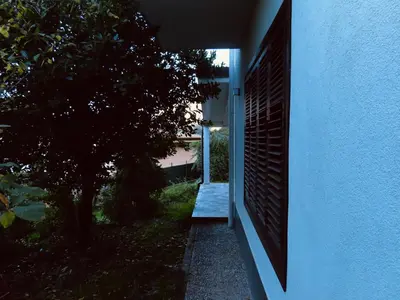 a hallway of a house with a window and a tree at Dimidia - casa vacanze mare montagna in Capaci