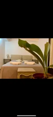 a plant in a vase next to a bed at Al rifugio della stazione in Palermo