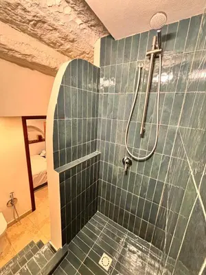 a bathroom with a shower with green tile at Marie Claire Guest House in Palermo