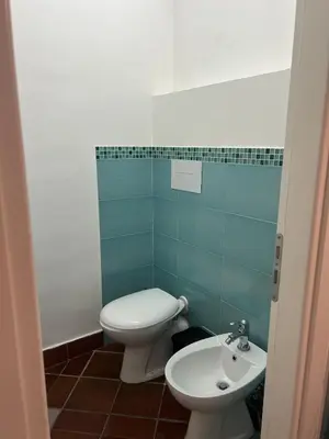 a bathroom with a toilet and a sink at Tinchitè - A due passi dal Teatro Massimo in Palermo