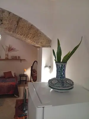 a vase with a plant on top of a refrigerator at Casetta Professa Centro in Palermo