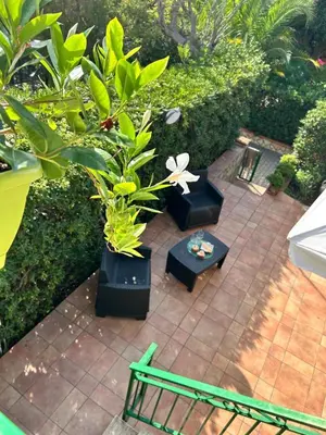 a patio with a green bench and a plant at Casa Vacanza Pinto a 80 mt dal mare in Campofelice di Roccella