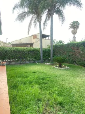 a yard with two palm trees and a building at La casa di Frank, con piscina privata in Campofelice di Roccella