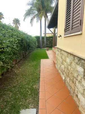 a walkway next to a house with palm trees at La casa di Frank, con piscina privata in Campofelice di Roccella