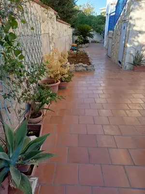 a brick walkway with potted plants next to a wall at Villa sul mare in Isola delle Femmine