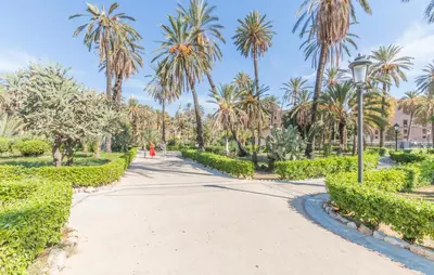 a path in a park with palm trees at Amazing Home In Monreale in Monreale