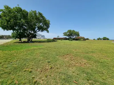 a large grass field with a tree in the middle at DownTown House by Holiday World in Palermo