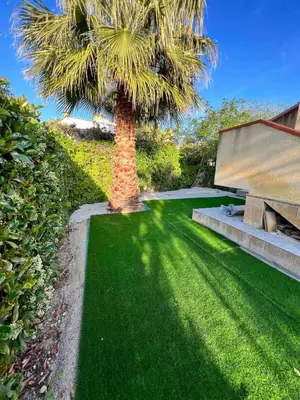 a palm tree in a yard with green grass at Villa Stromboli - Le Ville del Mediterraneo in Campofelice di Roccella