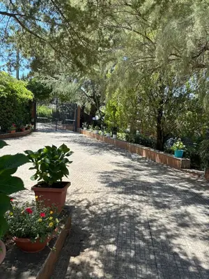 a backyard with a swimming pool and a landscaped yard at Exclusive Villa with Pool Near Monreale in Monreale