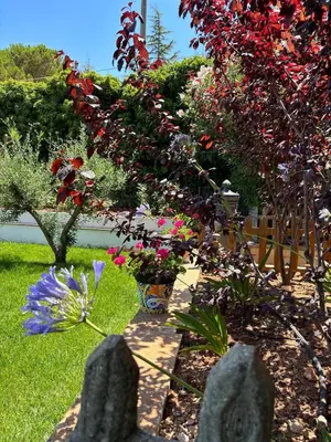 a garden with flowers and plants in a yard at Exclusive Villa with Pool Near Monreale in Monreale