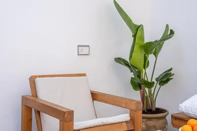 a wooden chair next to a plant and a lightswitch at Meraki Home - Alle Spalle del Teatro Massimo in Palermo
