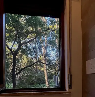 a window with a view of a tree at Piazza Mameli Suite, comfort & elegance in Palermo in Palermo
