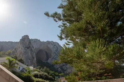 a pine tree in front of a mountain at CasaMare Addaura - Your Romantic Seafront Hideaway in Palermo