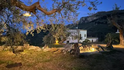 a hill with trees and the ocean in the background at Tenute Armani The Castle Live an Experience in Altavilla Milicia