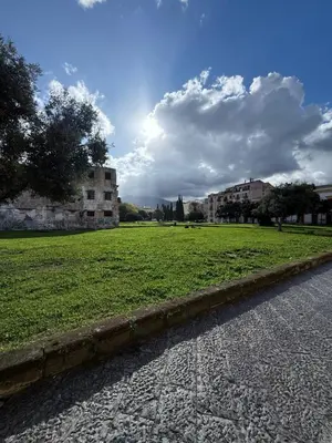 a field of green grass next to a street at CR Home in Palermo