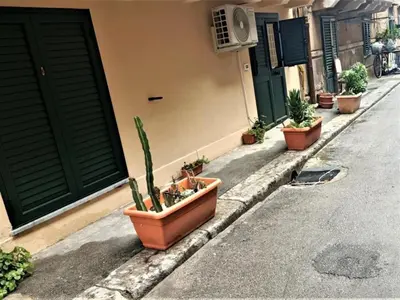 a row of potted plants on the side of a house at Cattedrale stay in Palermo