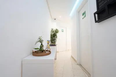 a hallway with plants on a white wall at Palermo Central BB in Palermo