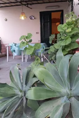 a group of plants in a room with a couch at Apartment Wohnung mit Wasserblick by Interhome in Castellammare del Golfo