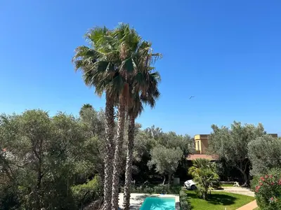 a palm tree next to a swimming pool at iFlat Punta Catalana in Terrasini