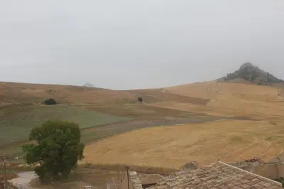 a view of a field with a tree and a hill at Agriturismo Masseria Castellana in Monreale