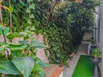 a garden with a wall covered in plants at Casaulente Mare in Alcamo Marina