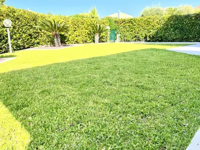a large yard with green grass and palm trees at Casa Roccella in Buonfornello