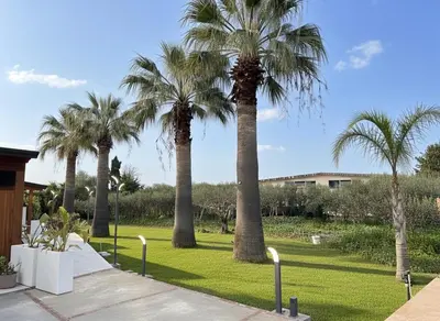 a group of palm trees in a park at Casa Manzella Apartments in Cinisi