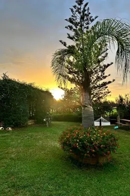 a palm tree in a field with flowers at Holiday Home Entspannung- Meer- Natur- Kultur by Interhome in Partinico