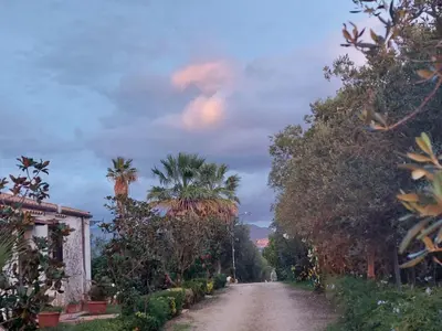 a dirt road with palm trees on either side at Holiday Home Entspannung- Meer- Natur- Kultur by Interhome in Partinico
