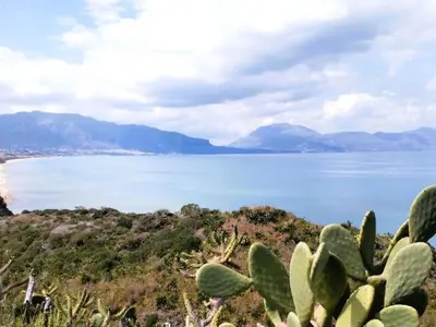 a view of a body of water with a cactus at Holiday Home Entspannung- Meer- Natur- Kultur by Interhome in Partinico