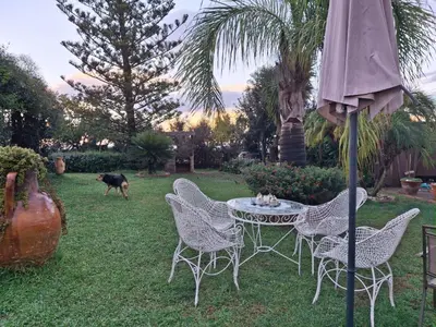 a table and chairs with a dog in a yard at Holiday Home Entspannung- Meer- Natur- Kultur by Interhome in Partinico