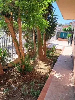 a row of trees next to a sidewalk at Al ventitré Home in Trabia