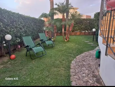 a yard with two lawn chairs and palm trees at La terrazza vent8 in Buonfornello