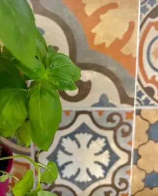 a green plant in front of a tile floor at Casa del Teatro in Palermo
