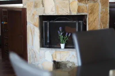 a stone fireplace with a potted plant in it at Villa Adelaide in Cinisi