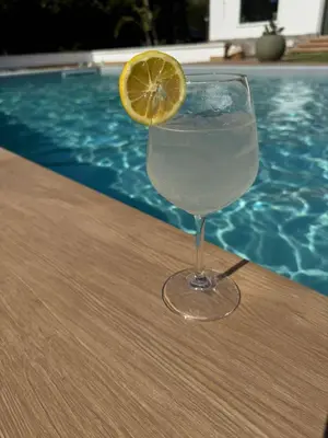 a glass of water with a lemon slice in it at Scrusciu Holiday in Terrasini