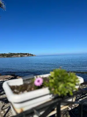 a white bench with a pink flower on it next to the water at Zabaria Home - Appartamenti tra Cefalù e Palermo in Casteldaccia
