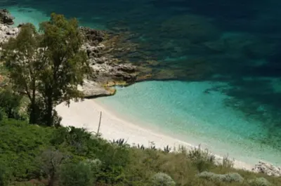a view of a beach with a tree and water at Casa Eva in Castelluzzo