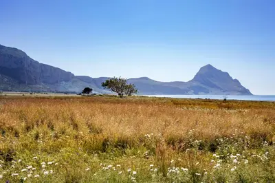 a field of grass and flowers with mountains in the background at Cala di Ponente in Castelluzzo