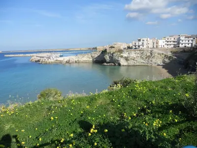 a view of a beach with buildings and flowers at Case Vacanze Terra Sinus in Terrasini