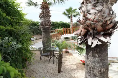 a garden with palm trees and a table and a chair at Villa Maria in San Vito lo Capo