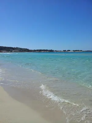 a beach with the ocean and the shoreline at Villa I Due Pini in San Vito lo Capo