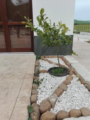 a small tree in a rock garden in front of a building at Segesta Antichi Sapori in Calatafimi